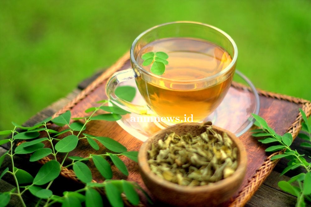 DAUN_KELOR.jpg