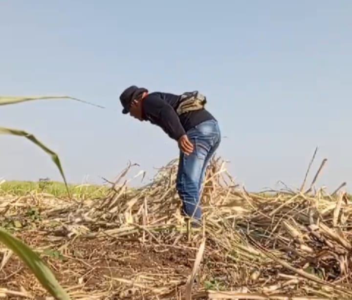 Petani Tangguh Tak Kenal Lelah