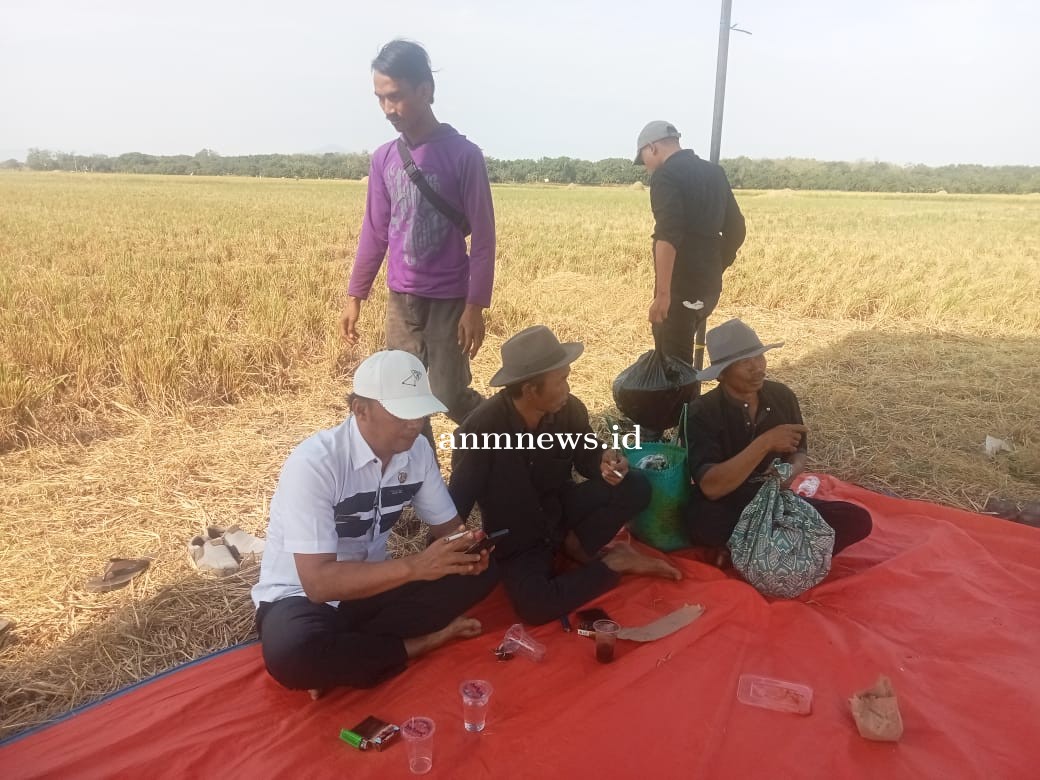 Pemdes Jatisura Gelar Sedekah Bumi