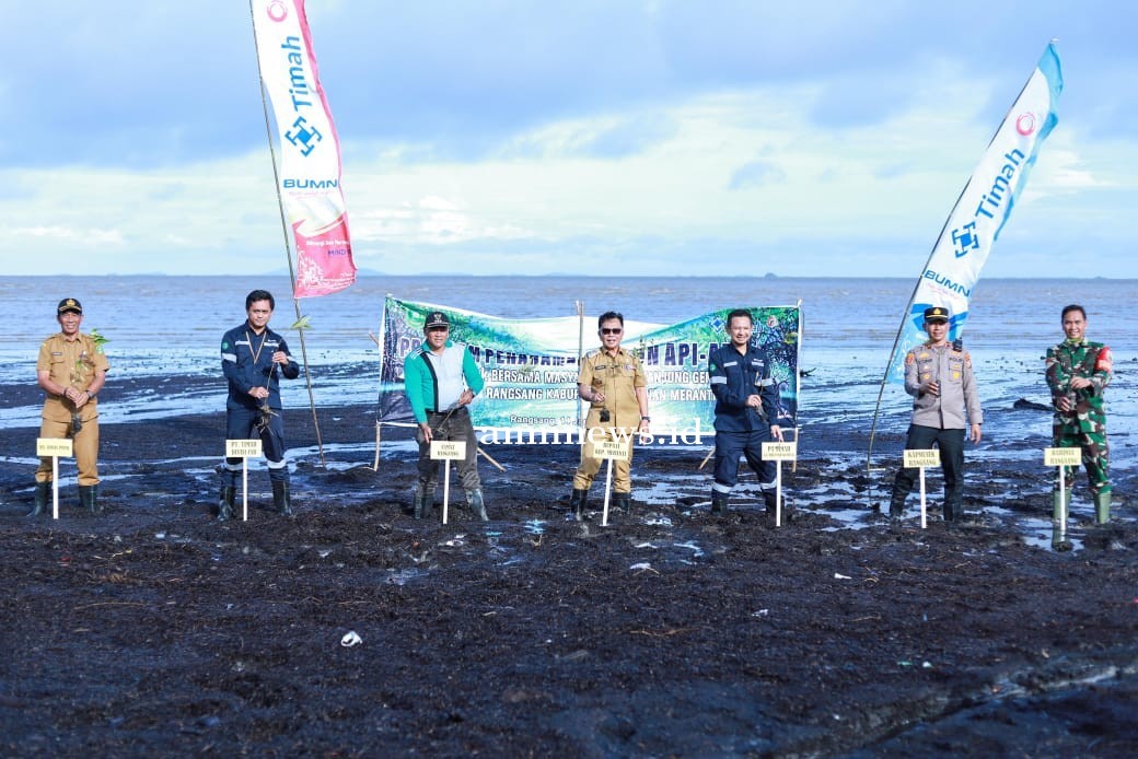 Cegah Abrasi dan Jaga Ekosistem Pesisir, PT Timah Tanam 3000 Mangrove di Pantai Sesai Party Beach