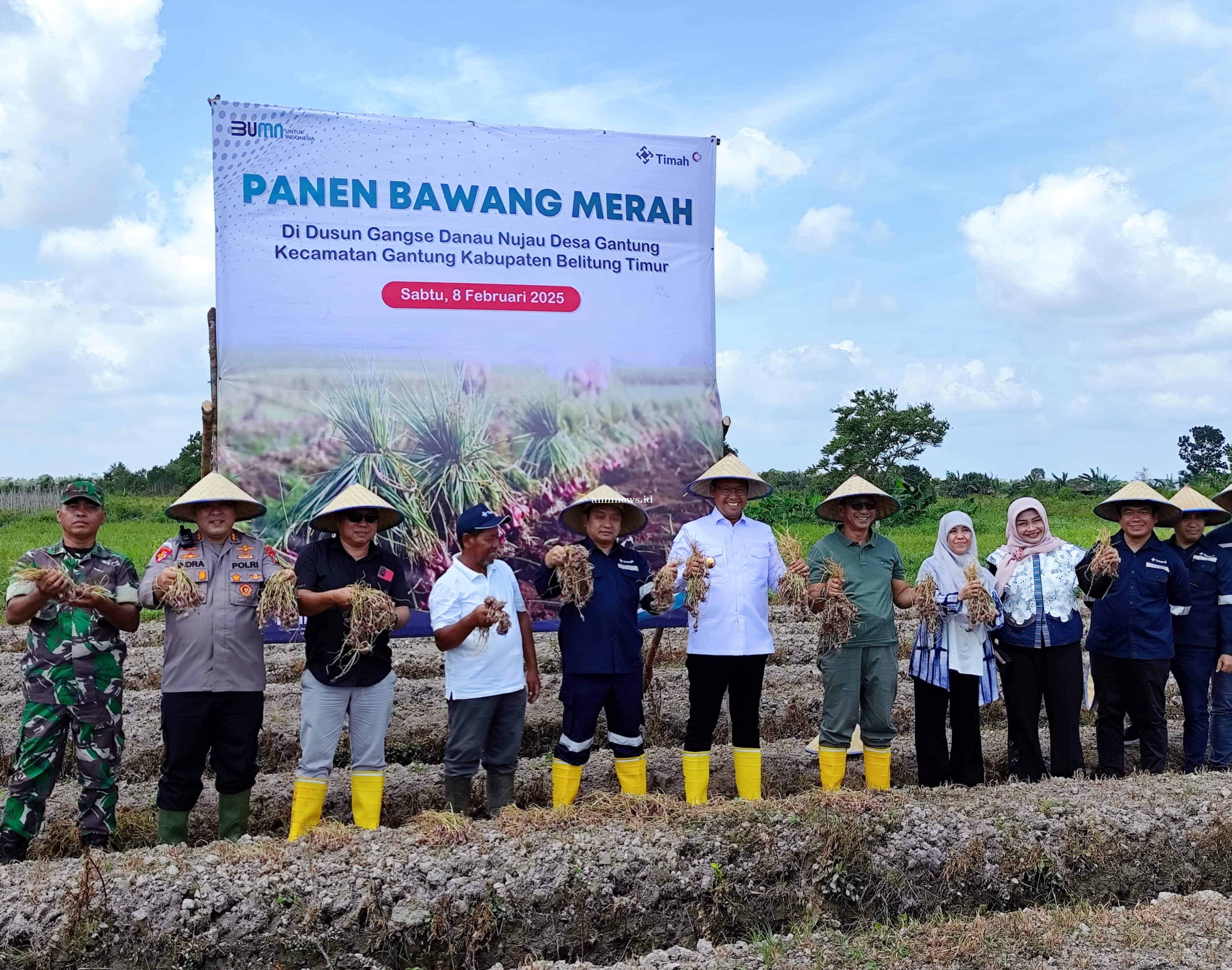 Pj Gubernur Babel bersama Dirut PT Timah Tbk Panen Raya Bawang Merah di Danau Nujau Beltim