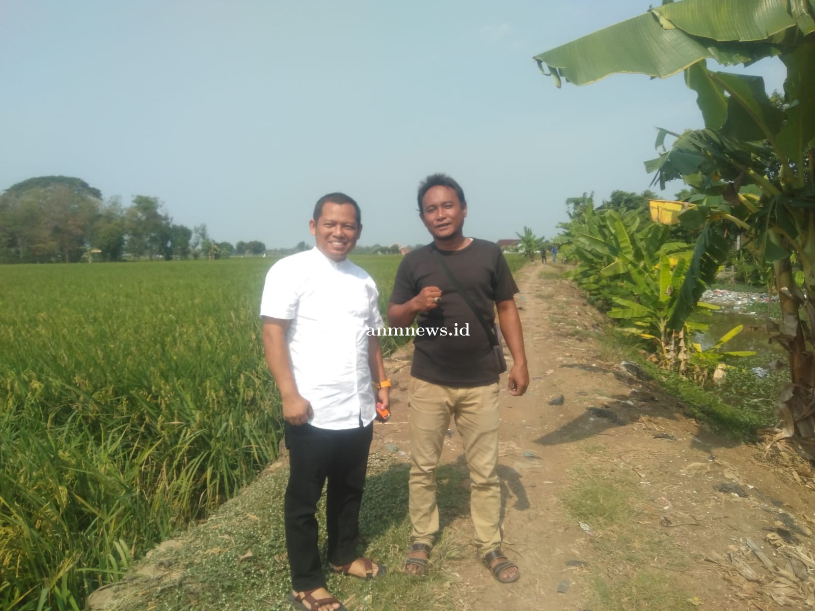 POKIR DPRD Kiki Arindi S.T Siap Realisasikan Pembangunan Jalan Sawah Desa Larangan Jambe