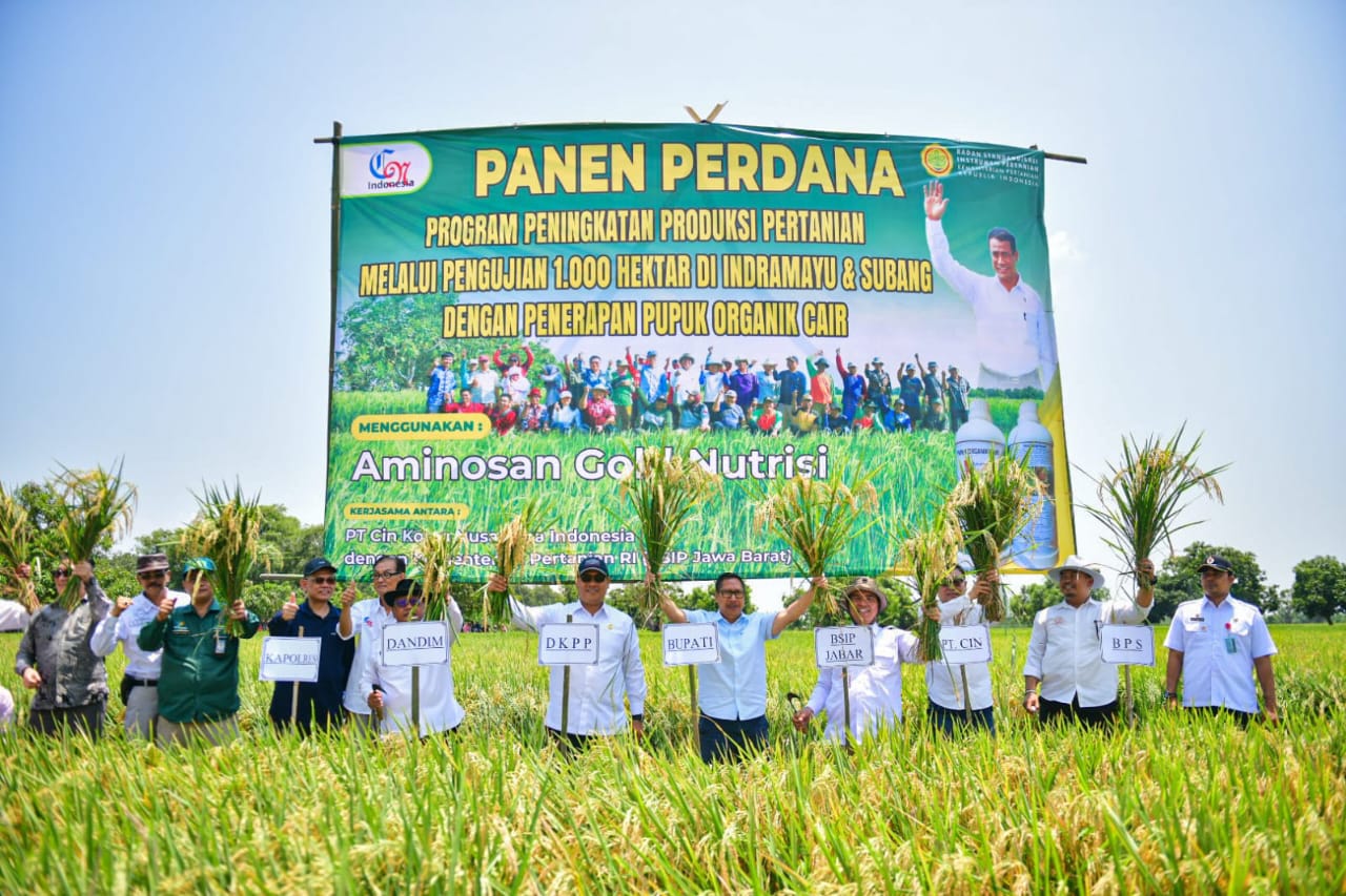 Pengujian 1000 Hektar dengan Pupuk Organik